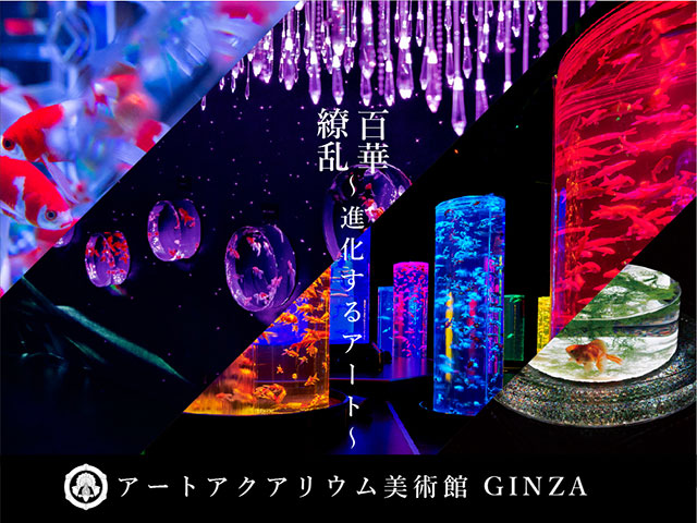 W'UP ★ 5月3日OPEN ！　アートアクアリウム美術館 GINZA