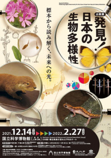 W’UP! ★ 12月14日～2022年2月27日　企画展「発見！日本の生物多様性　～標本から読み解く、未来への光～」」　国立科学博物館