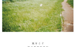 W'UP! ★11月3日～11月20日　「風をこぐ」橋本貴雄写真展　iwao gallery