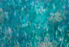 W'UP! ★5月30日～6月21日　ウジェーヌ・アジェ写真展『シュルレアリスム II』　Art Gallery M84