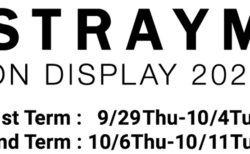 W'UP！★9月29日～10月11日「STRAYM ON DISPLAY 2022」展　between the arts gallery
