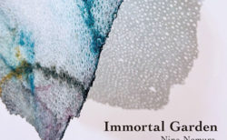 W'UP! ★2月9日～2月26日　「Immortal Garden | Nina Nomura」野村仁衣那展　iwao gallery