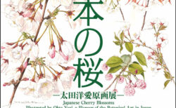 日本の桜展覧会ポスター