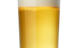 ビールの入ったグラスの写真