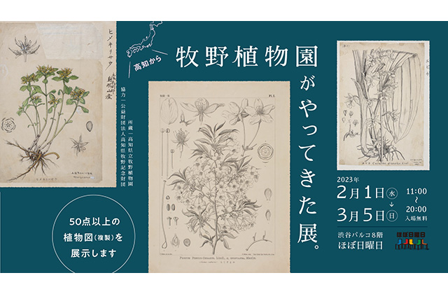 W'UP!★2月1日～3月5日　牧野植物園がやってきた展。　渋谷PARCO８階「ほぼ日曜日」
