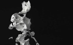 フランス人ビジュアルアーティスト、ルイジ・オノラの個展「Absences」告知バナー　骸骨のような人形が白く浮きでているモノトーンの画像