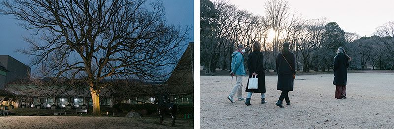 世田谷美術館を見守るクヌギの木の写真と散策するプロジェクトメンバーの写真