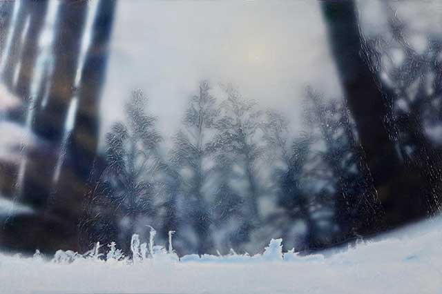 雪の積もった林の絵