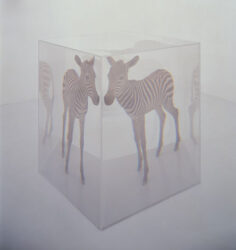 名和晃平「PixCell [Zebra]」2003