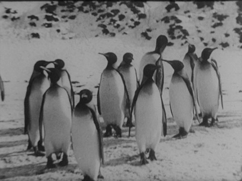 『死の南極 ロアロア』1シーン