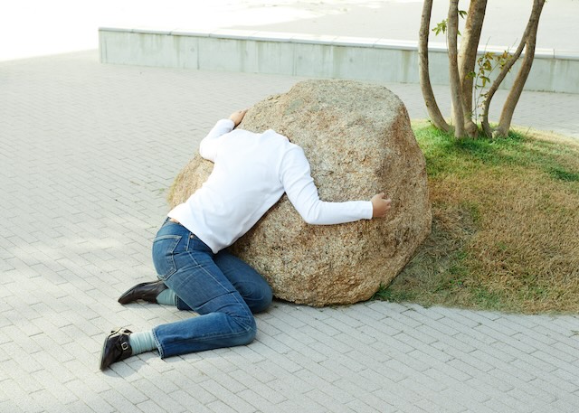 東叡山 寛永寺黒川岳《石を聴く》2022年, photo:鈴木陽介