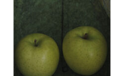 青リンゴ2つの写真