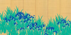 木島櫻谷《燕子花図》