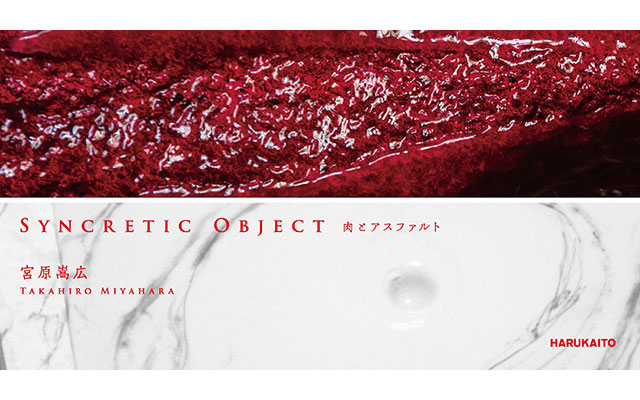 W'UP! ★3月29日～4月21日　宮原嵩広 個展「Syncretic Object」 - 肉とアスファルト-　HARUKAITO by island（渋谷区神宮前）