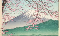 桜の木から富士山が見える風景の版画