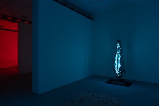 Waku Fukui "Zaizai" Installation View