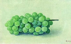 マスカットぶどうの絵
