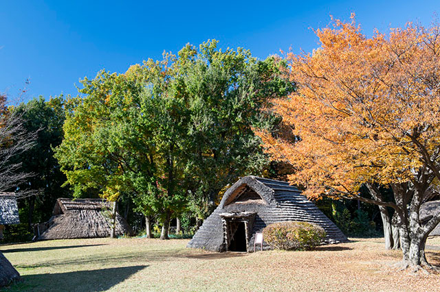 大塚・歳勝土遺跡公園