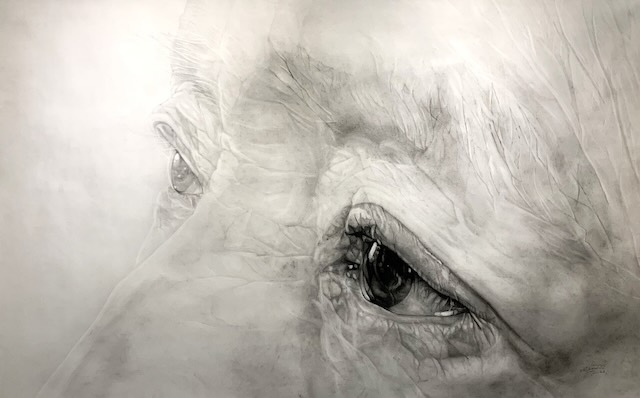 W'UP★12月2日～12月7日　木下晋氏作品展・講演会　ふじみ野ステラ・ウェスト1階ギャラリー（埼玉県ふじみ野市）