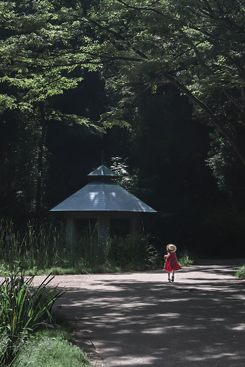 優秀賞 建物名:せせらぎ公園東屋