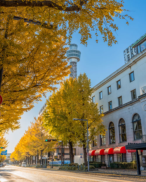 建築局長賞 建物名:横浜マリンタワー、ホテルニューグランド
