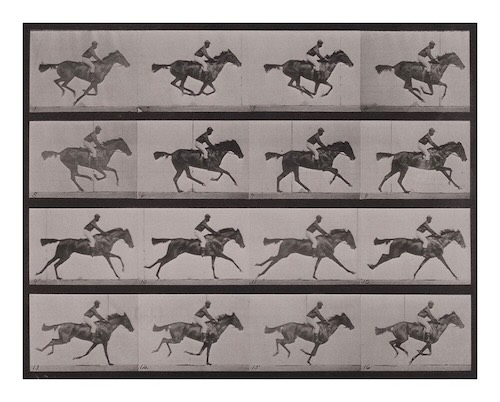 W'UP★10月1日～12月26日　動画の原点『アニマル・ロコモーション』 「連続写真に取り憑かれた男 エドワード・マイブリッジ」　フジフイルム スクエア 写真歴史博物館（港区赤坂）