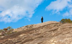 リサーチをするアーティストの写真