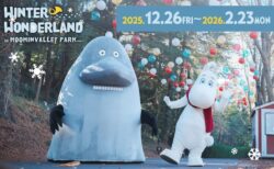 イメージバナー