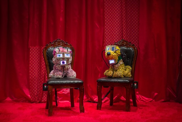 笹岡由梨子個展「Animale」展示風景、2025年