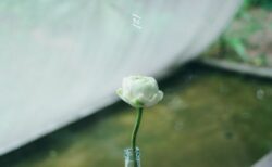 展覧会ポストカード