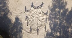 Nefeli Papadimouli- Collection FRAC Grand Large - Hauts-de-France