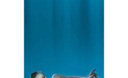 キービジュアル