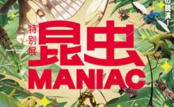 キービジュアル