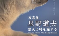 キービジュアル