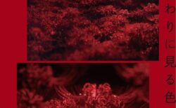 キービジュアル