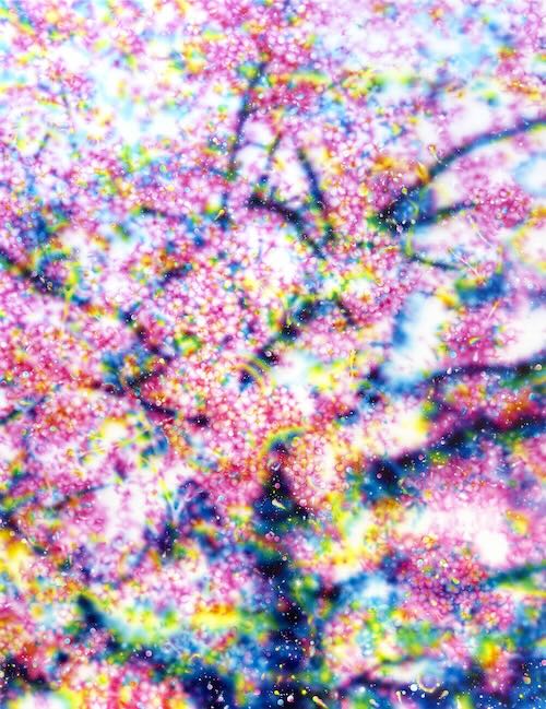 塚本 智也 参考作品