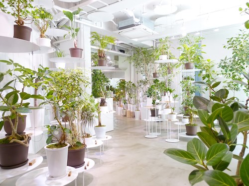 イメージフォト