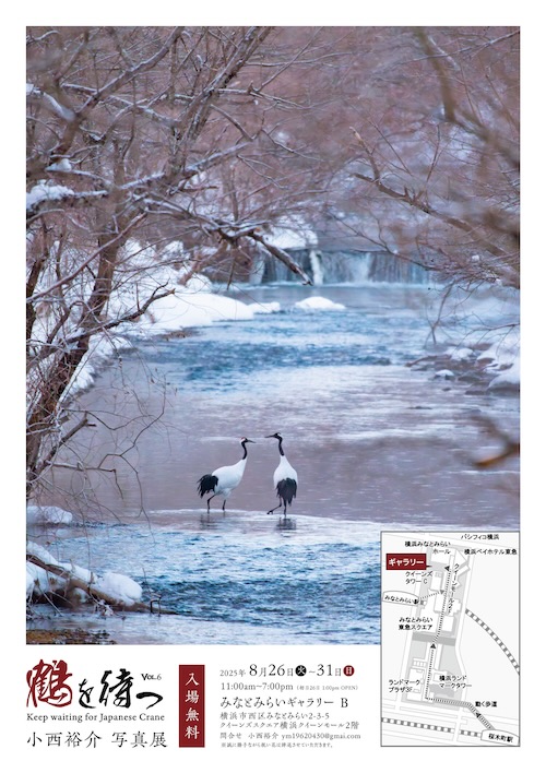 W'UP★8月26日～31日　鶴を待つvol.6　小西裕介写真展　みなとみらいギャラリーＢ（横浜市西区）