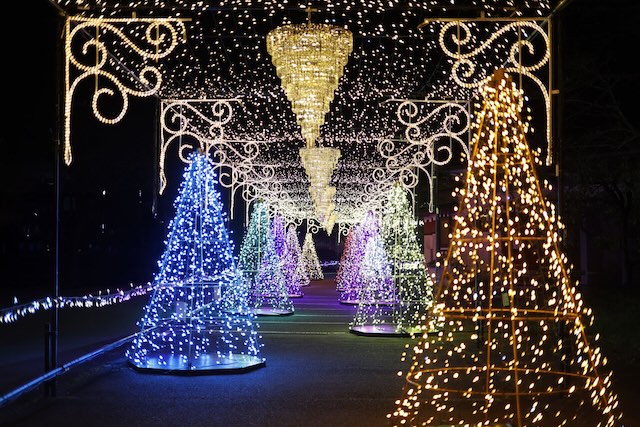 イメージフォト