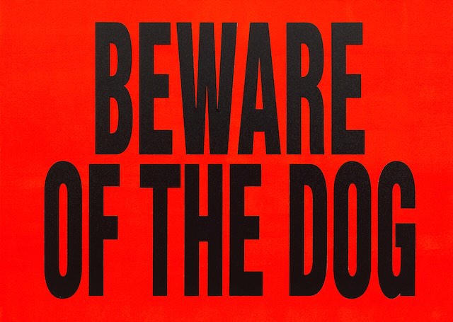 サラ‧モリス《猛⽝注意》1994年