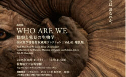 展覧会ポスター