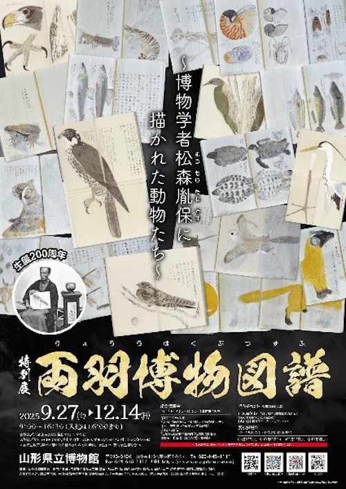 W'UP★9月27日～12月14日　両羽博物図譜～博物学者松森胤保に描かれた動物たち～　山形県立博物館（山形県山形市）
