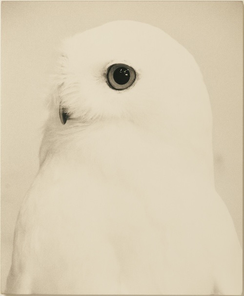 W'UP★10月2日～12月22日　風光 huko オープニング展覧会 山本昌男展　風光 huko（京都市左京区）