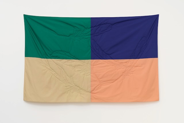 本山ゆかり「Ghost in the Cloth(5枚の羽根)」/布、綿、糸/2024年