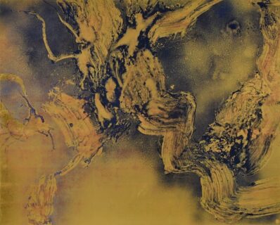 「岩抱き杉」130 x 162 cm