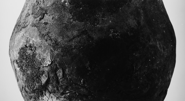 W'UP★2月5日～2月22日　土に還る —「そこにある」ものたちの声— 村越慧写真展　iwao gallery（台東区蔵前）