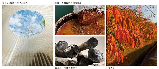 イメージフォト