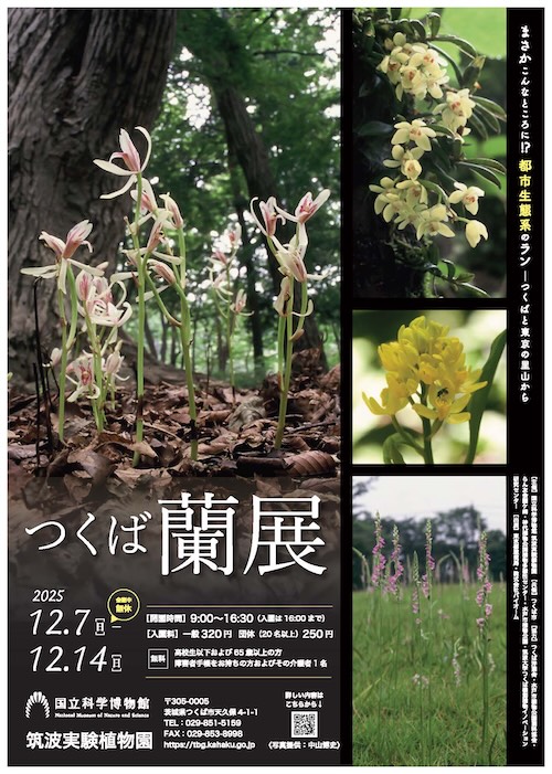 W'UP★12月7日~12月14日 企画展「つくば蘭展」 国立科学博物館 筑波実験植物園(茨城県つくば市)