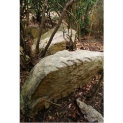 甲山森林公園内の巨石