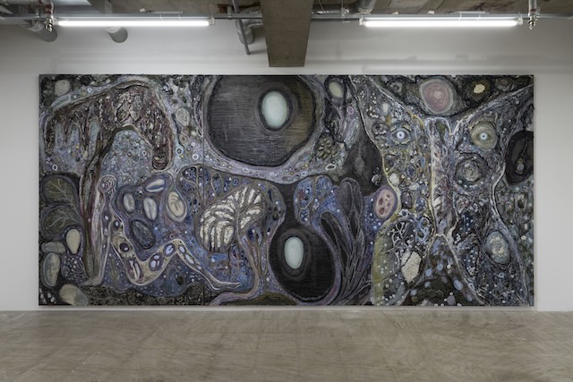 《Soil Psychedelia》2023